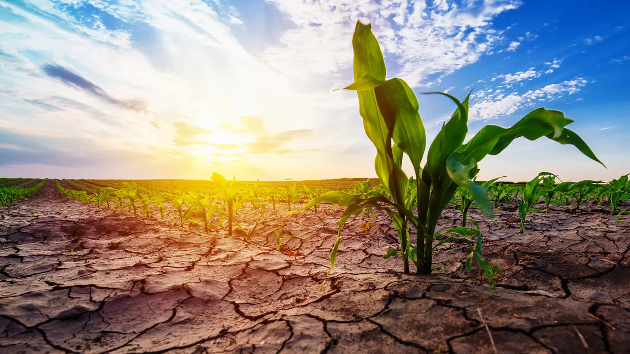 LIVING WITH DIGNITY PROGRAM